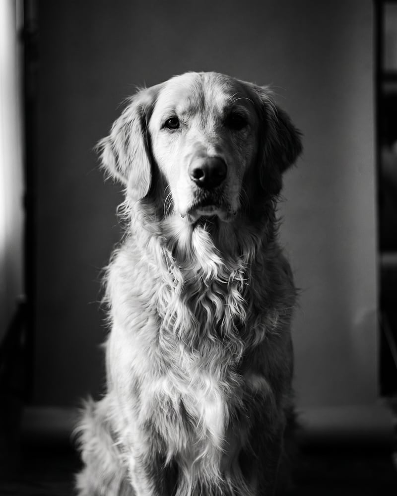 B&W Studio portrait example